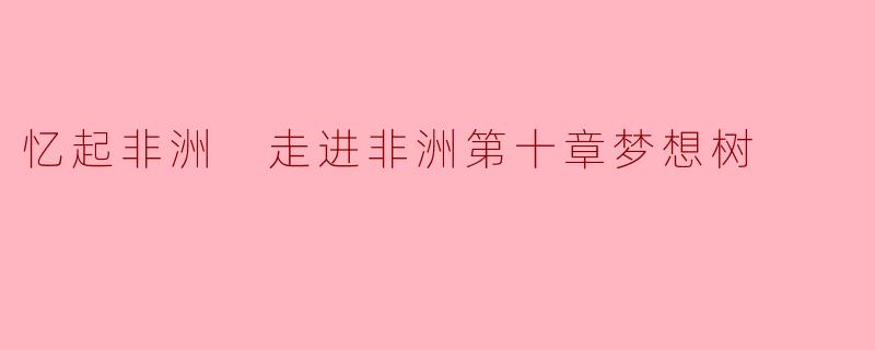 忆起非洲 走进非洲第十章梦想树